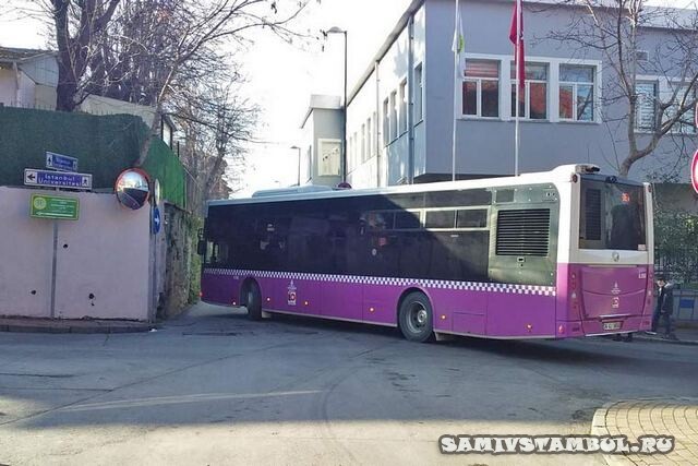Автобусы-в-Стамбуле-вездесущи
